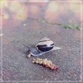 Benny Clavis - Let Be House