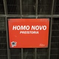 Homo Novo - Planispheric