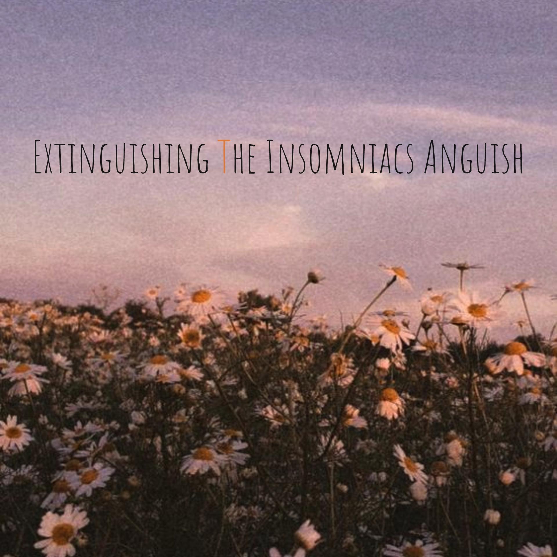Dj Ritmo、Relajacion - Extinguishing The Insomniacs Anguish, Pt. 2