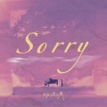 sorry (记得回家)