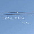 钟灵fairy - 鲜花永远是浪漫的代表