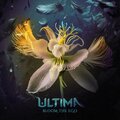 Bloom The Ego (Explicit)