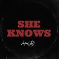 Lipa DJ - She Knows (TikTok Remix)