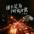 王超然 - 谁不是为了碎银几张
