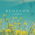 Kzar - Blossom
