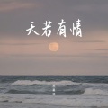 苏星婕 - 天若有情