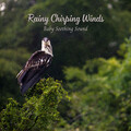 Rained、Active Baby Music Workshop、Babies Love Brahms - Chirping Wind and Rainy Dreams for Baby