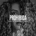 Prohibida (Base De Rap Lofi Chill)