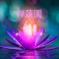 自然の音と音楽 - イージーリスニング