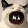 小葵崽 - COCO