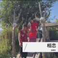 田赛背 - 相恋