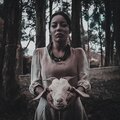 viva lives - Que Saben