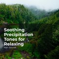 Soothing Precipitation Tones for Relaxing
