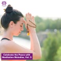 Celebrate the Peace with Meditation Melodies, Vol. 3
