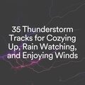 35 Thunderstorm Tracks for Cozying up, Rain Watching, and Enjoying Winds