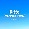 Kayhin - Ditto (Marimba Version)