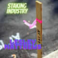 Lesley Matthews - Staking Industry