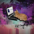 pink luu、kets4eki、Cxpy - something's not okay (feat. kets4eki & Cxpy)(Explicit)
