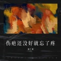 黄仁烁 - 伤疤还没好就忘了疼