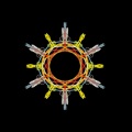 File Of Life - Porna