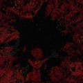 cirque du freak (Explicit)