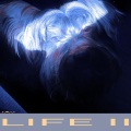 LIFE II