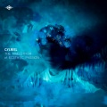 Cylriel、Ponycutz、Vallhee - Dance While You're With Me