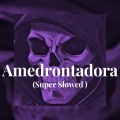 Amedrontadora (Super Slowed)