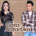 Cinta Di Antartika