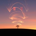 李鹭旭 - 体验
