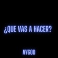 ¿QUE VAS A HACER? (feat. AYGOD)