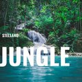 Stellano、Stellan Bushlack - Jungle