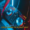 DJ Andies - DJ Cinta Padamu Tak setinggi Langit
