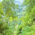陈小雨 - 春风吹