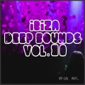 Agent Folder - Brownout