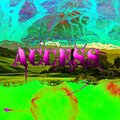 Taleesa - Access
