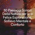 30 Paesaggi Sonori Della Natura per una Felice Esplorazione, Sollievo Mentale e Conforto