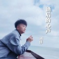 刘洋 - 酒后的心声