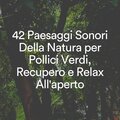 Suoni Naturali - Suoni melodici della pioggia per la pace e la calma, pt. 19