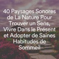 Zen Ambiance D'eau Calme、Naturel Relaxation Ambiance、Oasis de Musique Nature Relaxante - Son de cascade pour dormir