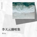 李天云 - 凉凉 (适合做背景的爱情的纯音乐)(Live)