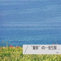 卡色 - 雨爱