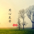 信晗 - 用心良苦