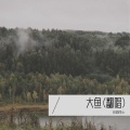 田园隐士 - 大鱼