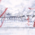 浔一、晓星尘、青山怀竹、白蘑菇君、千帆 - 飞雪落红尘（520特别版）·2023