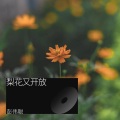 彭伟聪 - 兄弟干杯
