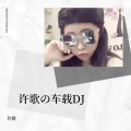 许歌 - 一半疯了一半算了 (许歌 remix)