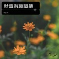 叶雪利 - 绝情人
