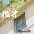 Hania - 太阳