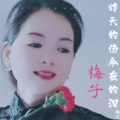 梅子 - 昨天的伤今夜的泪